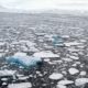 Sea Ice In Antarctica
