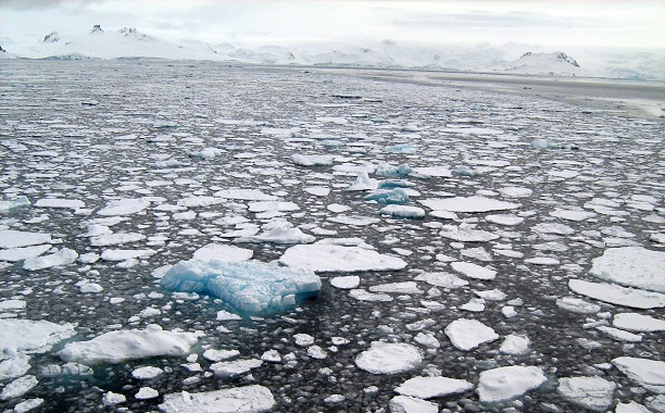 Sea Ice In Antarctica