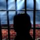 Prison Guard Rape Prevented