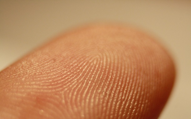 Fingerprint Scanner Android