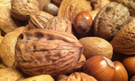 Nut Health Study