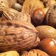 Nut Health Study