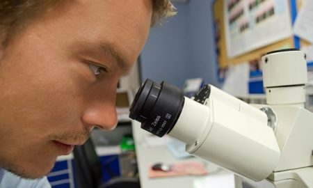 Scientist Microscope
