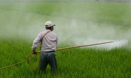Herbicide Spraying
