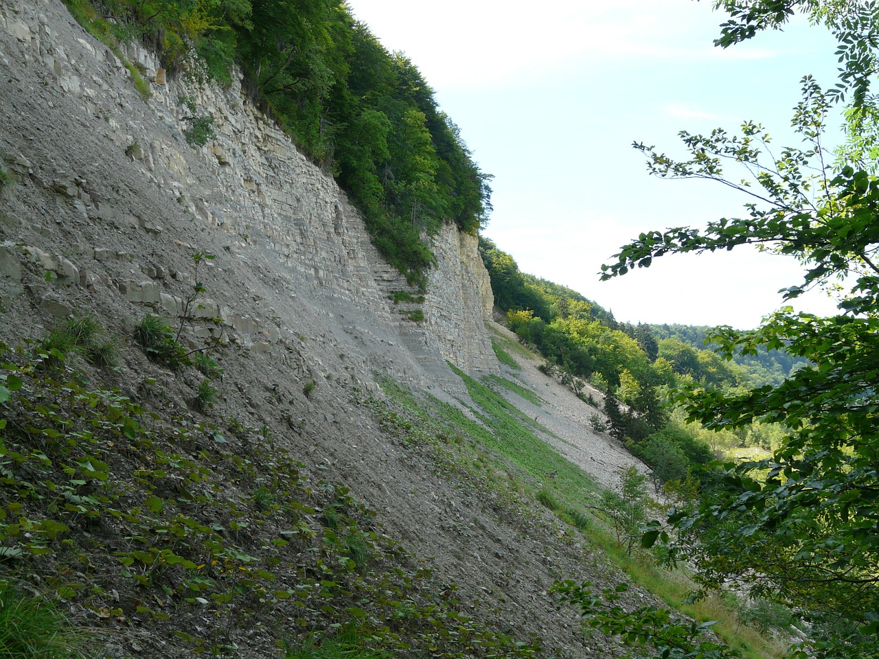 Landslide Picture