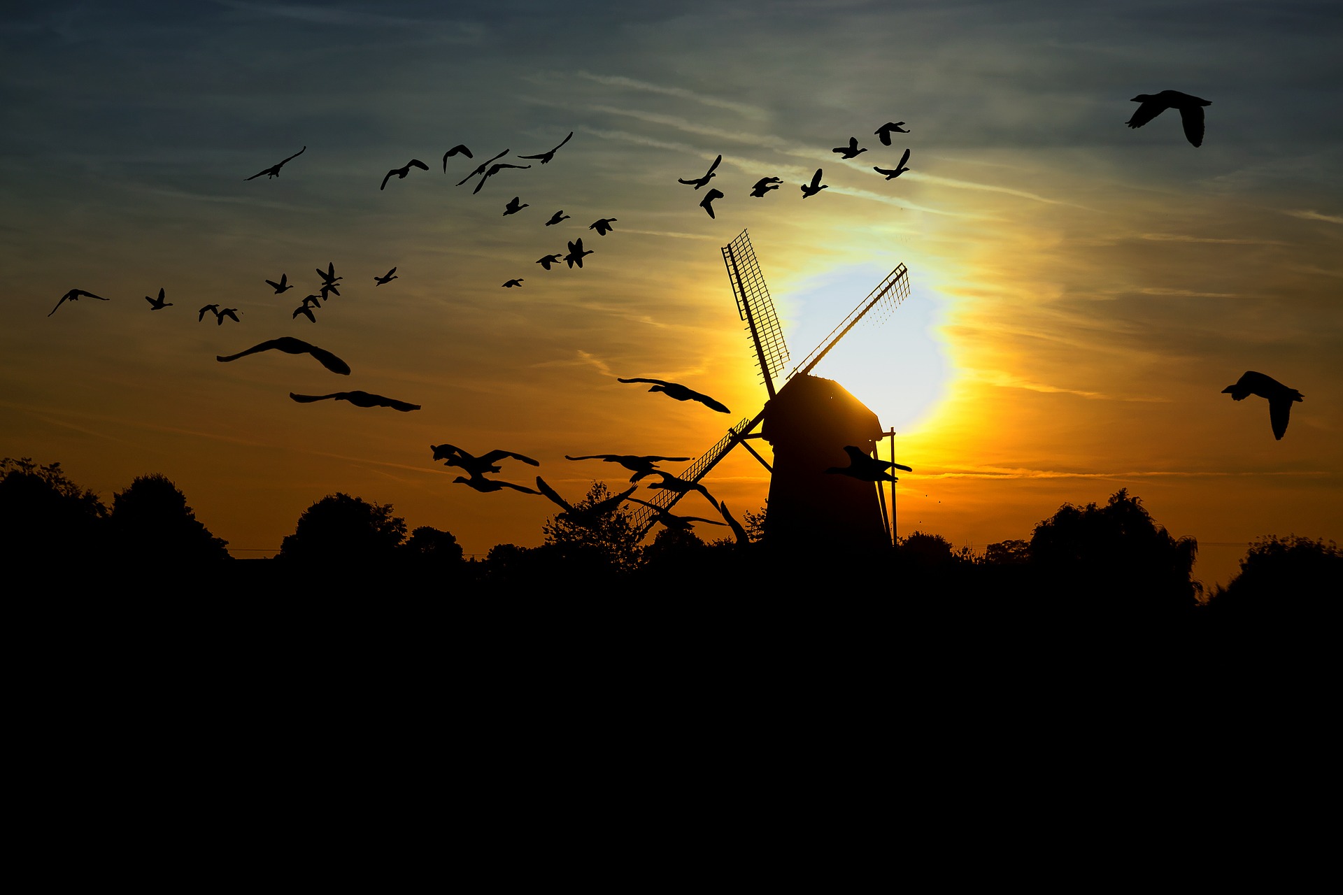 Birds Migrating At Sunset