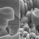 Magnesium Silicon Carbide Nanocomposite