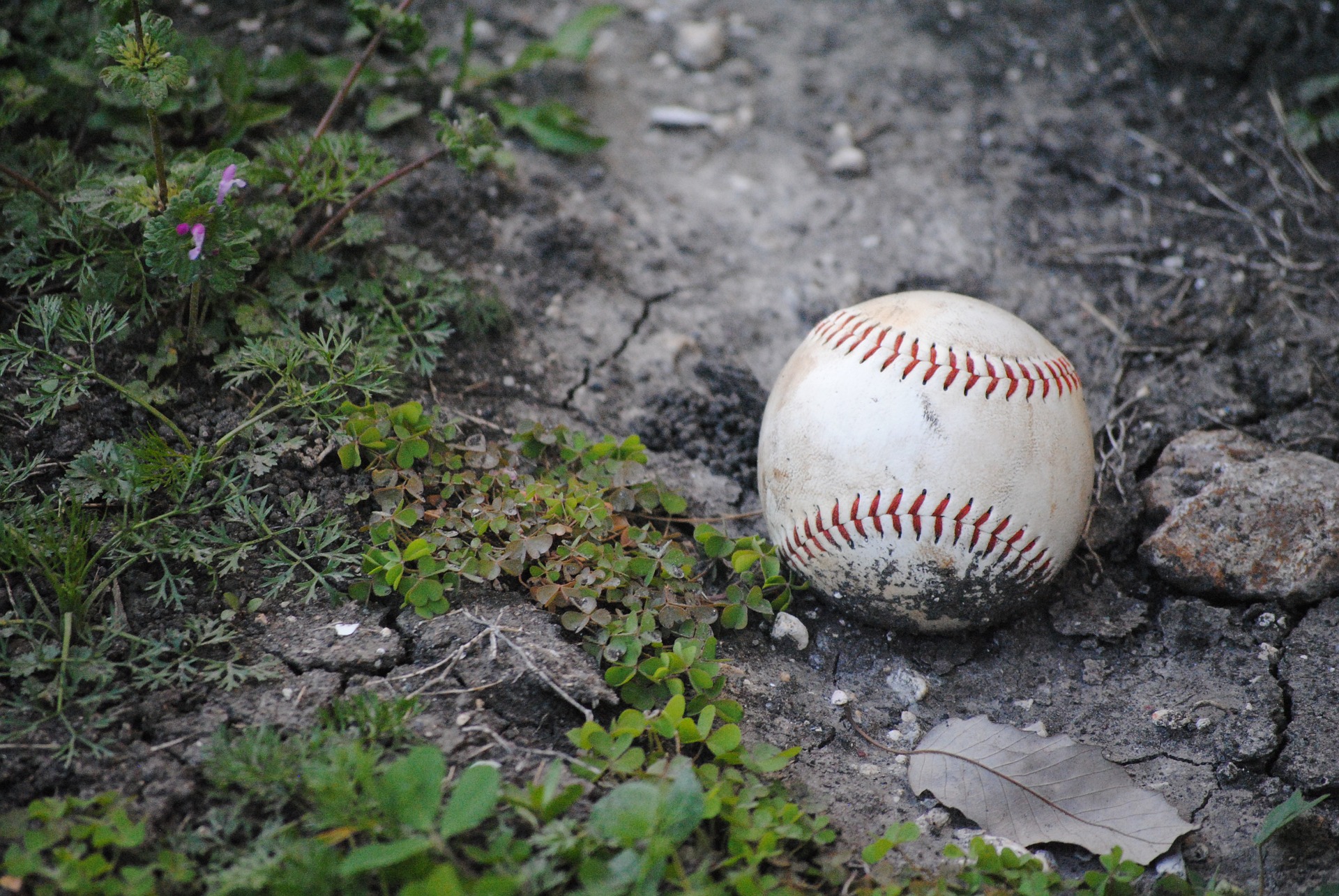 Baseball