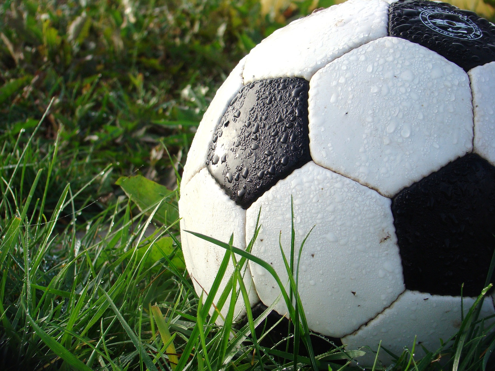 Soccer Ball On Grass Field